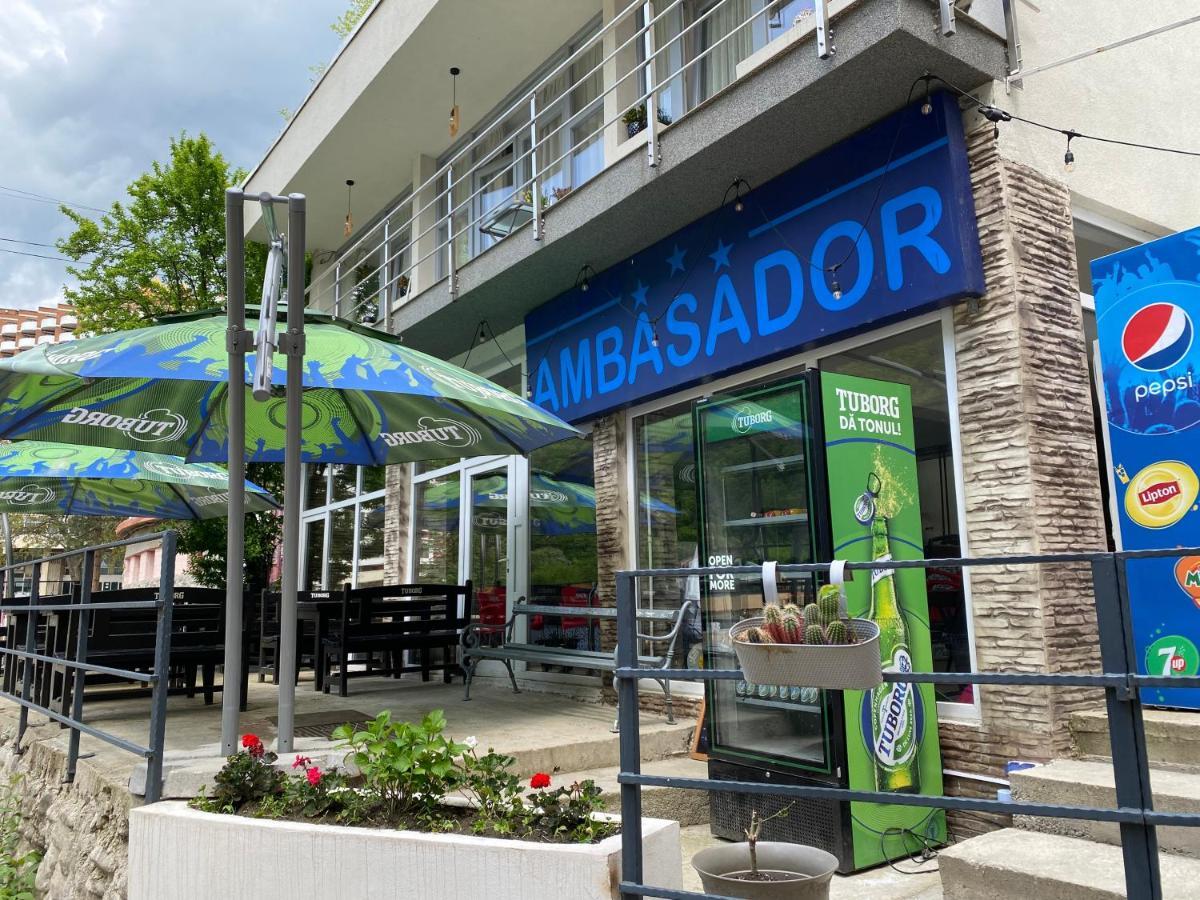 Pensiunea Ambasador 伯伊莱海尔库拉内 外观 照片